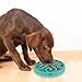 Decyam Pet Fun Feeder Dog Bowl Slow Feeder, Bloat Stop Dog Food Bowl Maze Interactive Puzzle Dog Bowl Non Skid (BLUE A)
