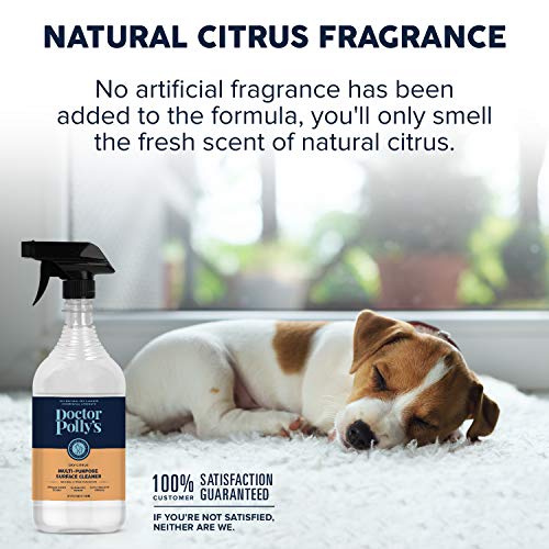 Pickle & Polly Professional Strength Pet Stain and Odor Remover for Dog