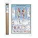 EuroGraphics Human Body Poster, 36 x 24 inch