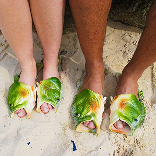 Coddies Fish Flip Flops The Original Fish Shoe Unisex Sandals Bass Slides Slippers Pool Beach Shower Shoes Men Women Kids Green 7 8 Men 9 10 Women Eu 40 41 Pricepulse