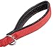GOGO Pet Products 5/8-Inch Wide Comfy Nylon Dog Leash, 6-Feet Long, Red