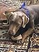 Antler Man® Premium Jumbo Deer Antler Pieces - Dog Chews - Sold by The Pound
