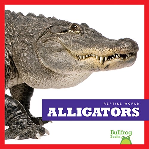 Alligators (Bullfrog Books: Reptile World)