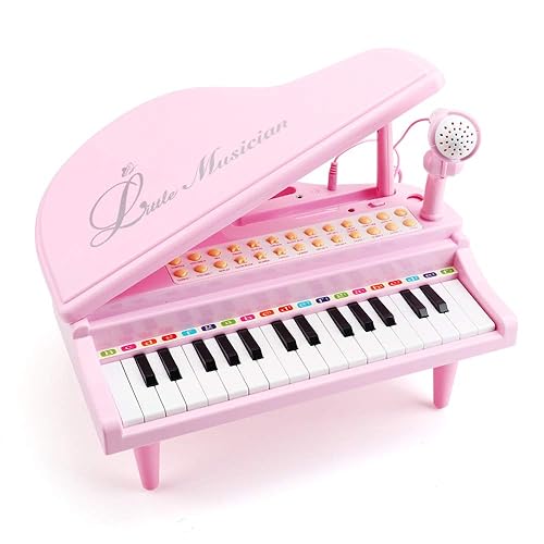 Amy&Benton Toddler Piano Toy for Baby Girls Pink Toy Piano