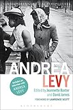 Andrea Levy: Contemporary Critical Perspectives by