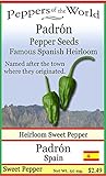 Padron Sweet Pepper Seeds - Famous Spanish Heirloom - 10 Seeds