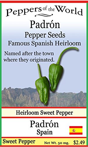 Padron Sweet Pepper Seeds - Famous Spanish Heirloom - 10 Seeds