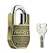 Mindy Heavy Duty Padlock with Keys Unique Style Special Chains Lock,1-Pack High Security Padlock, AF8-50