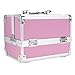 Binxin Professional Mini Makeup Train Case - Cosmetic Box with Adjustable Dividers - 3 Extendable Trays Aluminum Make Up Artist Organizer Kit With Mirror(L8 x W6)