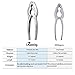 iRunning 10 Pieces Seafood Tools Nut Cracker Set with 4 Heavy Duty Lobster Crab Crackers and 6 Seafood Forks