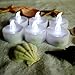 Mars LED Tea Lights - 24 Cool White Unscented Tealight Candles Bonus Decor Rose Petals - 1.4x1.4