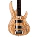 ESP LTD B-205SM Fretless - Natural Satin