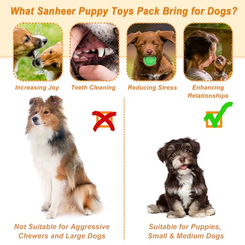Ousiya 24 Pack Puppy Toys Set with Storage Box - Small Dog Teething Toys for Playing and Training