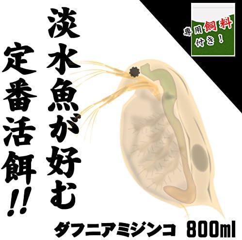 活餌 ダフニアミジンコ 増量 800ml 0匹 ミジンコ育成 増殖促進飼料10g 生体 観賞魚 水中生物 通販 Amazon