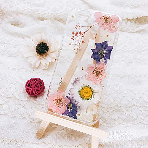Aunifun Real Dried Pressed Flowers Assorted Colorful Daisies for Art Craft DIY Silicone Coaster Resin Molds - Thumbnail 3