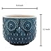 MyGift 5 Inch Whimsical Ceramic Succulent Cactus Herb Planter Pot with Textured Owl Face Design and Blue Glossy Finish