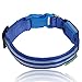 ILLUMISEEN LED Dog Collar USB Rechargeable - Bright & High Visibility Lighted Glow Collar for Pet Night Walking - Weatherproof, in 6 Colors & 6 Sizes (Blue X-Large)