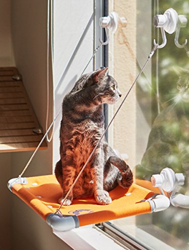 Cat Window Perch Hammock | Removable Cotton Canvas Hammock| Free Adjustable Cat Collar| Rated 40lbs| 2 Extra Suction Cups| Thick Stainless Steel Cables With Soft Rubber Protection