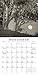 The Nature of Trees 2017 Mini Calendar