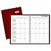 DayMinder Monthly Planner / Appointment Book 2017, Premiere, 7-7/8 x 11-7/8