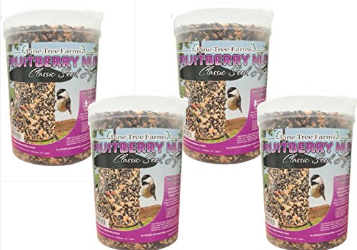 Pine Tree Farms 4 Pack, 72 Ounce Fruit Berry Nut Classic Seed Log 8006 Made in USA