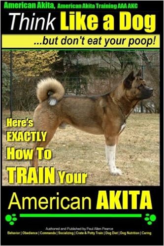buy american akita