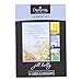 DaySpring Sympathy Boxed Greeting Cards with Embossed Envelopes - Jill Kelly, 12 Count