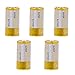 Vamery 6 pcs of 4LR44 6v Battery for Dog Training Shock Collar