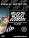 Atlas of Human Anatomy, Professional Edition