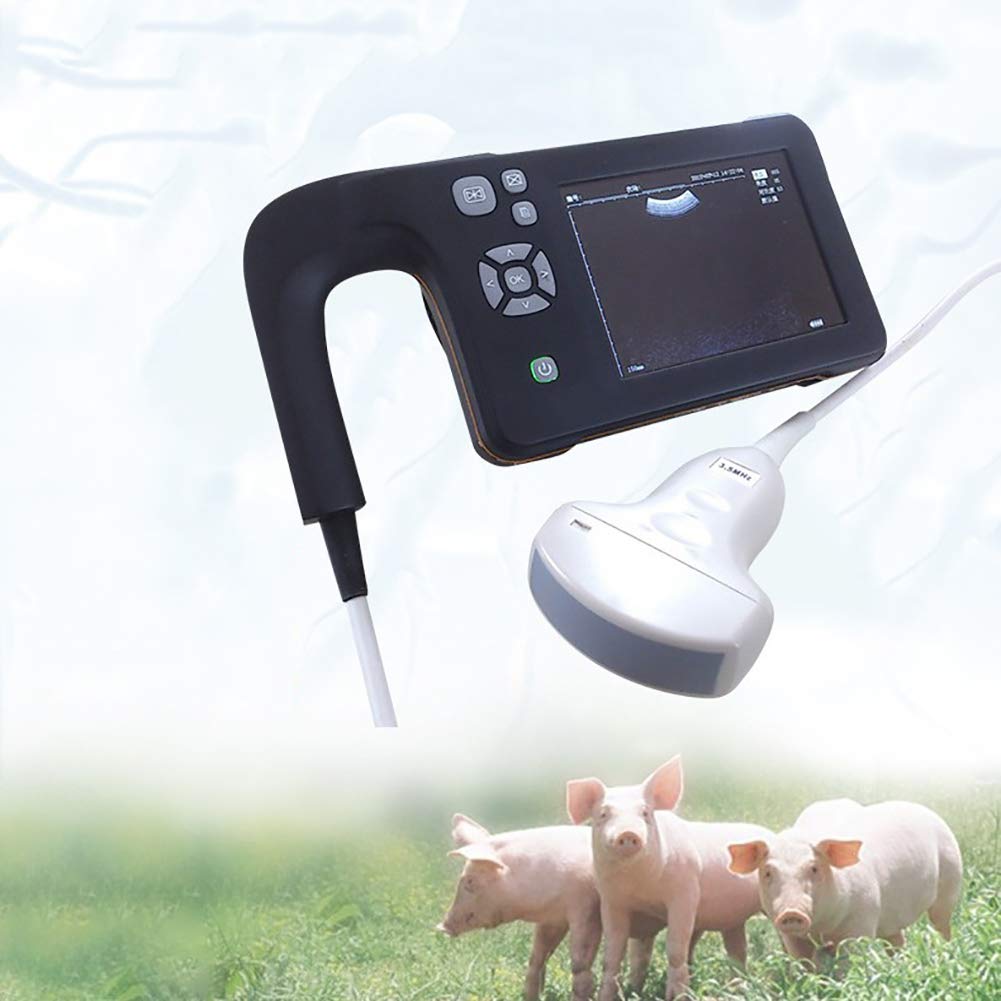 Buy Veterinary Ultrasound Scanner Electronic Probe of Digital Pregnancy