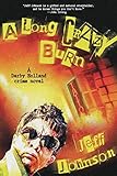 A Long Crazy Burn: A Darby Holland Crime Novel (Darby Holland Crime Novel Series) by Jeff Johnson