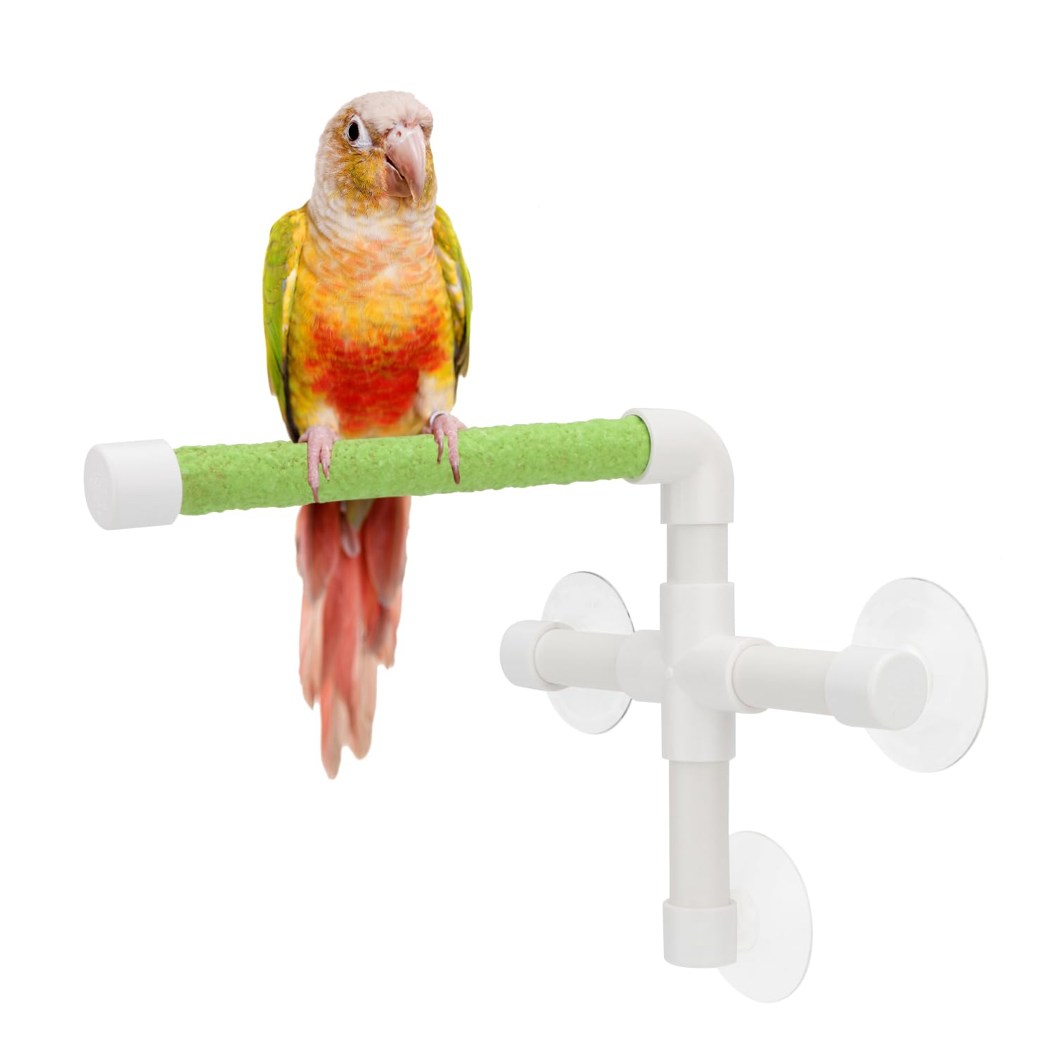 Portable Suction Cup Bird Window and Shower Perch Toy for Bird Parrot Macaw Cockatoo African Greys Budgies Parakeet Bath Perch Toy