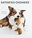 Petstages Dogwood Durable Dog Chew Toy, Medium - Long Lasting Chew Stick Made with Real Wood - USA Made, M