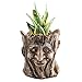 Anpatio Succulent Plant Pots Resin Tree Man Groot Planter Cactus Bonsai Flower Pots Pen Holder with Drainage Hole Perfect Gift Idea for Kids 5.5 inch