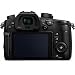 Panasonic LUMIX GH5 Mirrorless 4K Camera Body DC-GH5 Filmmaker’s Kit with DJI Ronin-SC 3-Axis Handheld Gimbal Stabilizer Bundle + Deco Photo Backpack Case + 64GB Card + Corel Paintshop Pro Softwarethumb 4