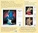 Fender® Custom Shop Guitar 2015 Boxed Calendar