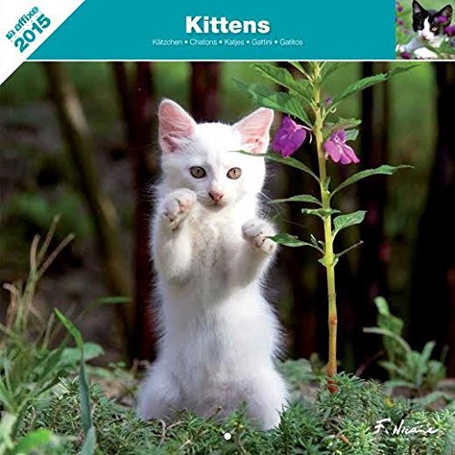 CALENDAR 2015 - KITTENS - AFFIXE