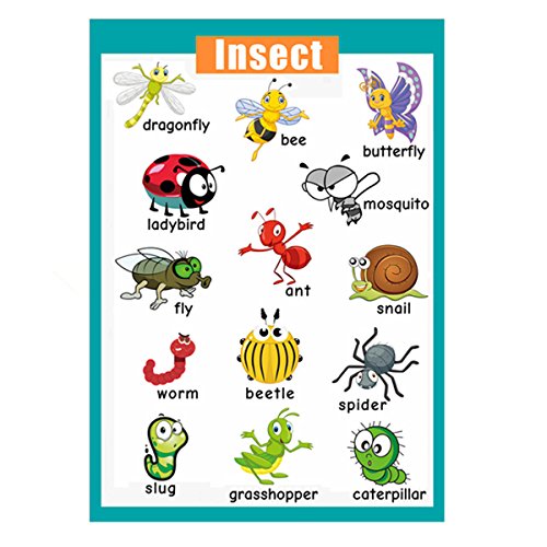 School Classroom Posters 4 Pieces Laminated Educational Preschool