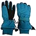 N'Ice Caps Adults Unisex Extreme Cold Weather 80 Gram Thinsulate Waterproof Ski Gloves