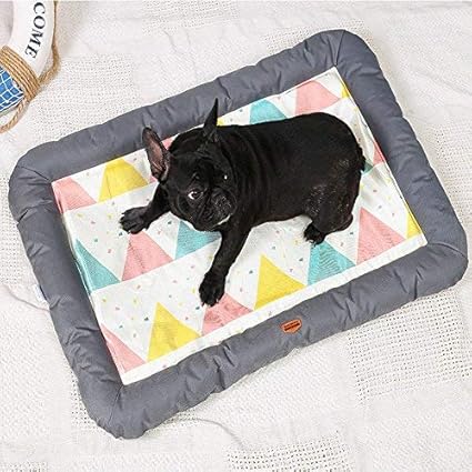 cama para pitbulls