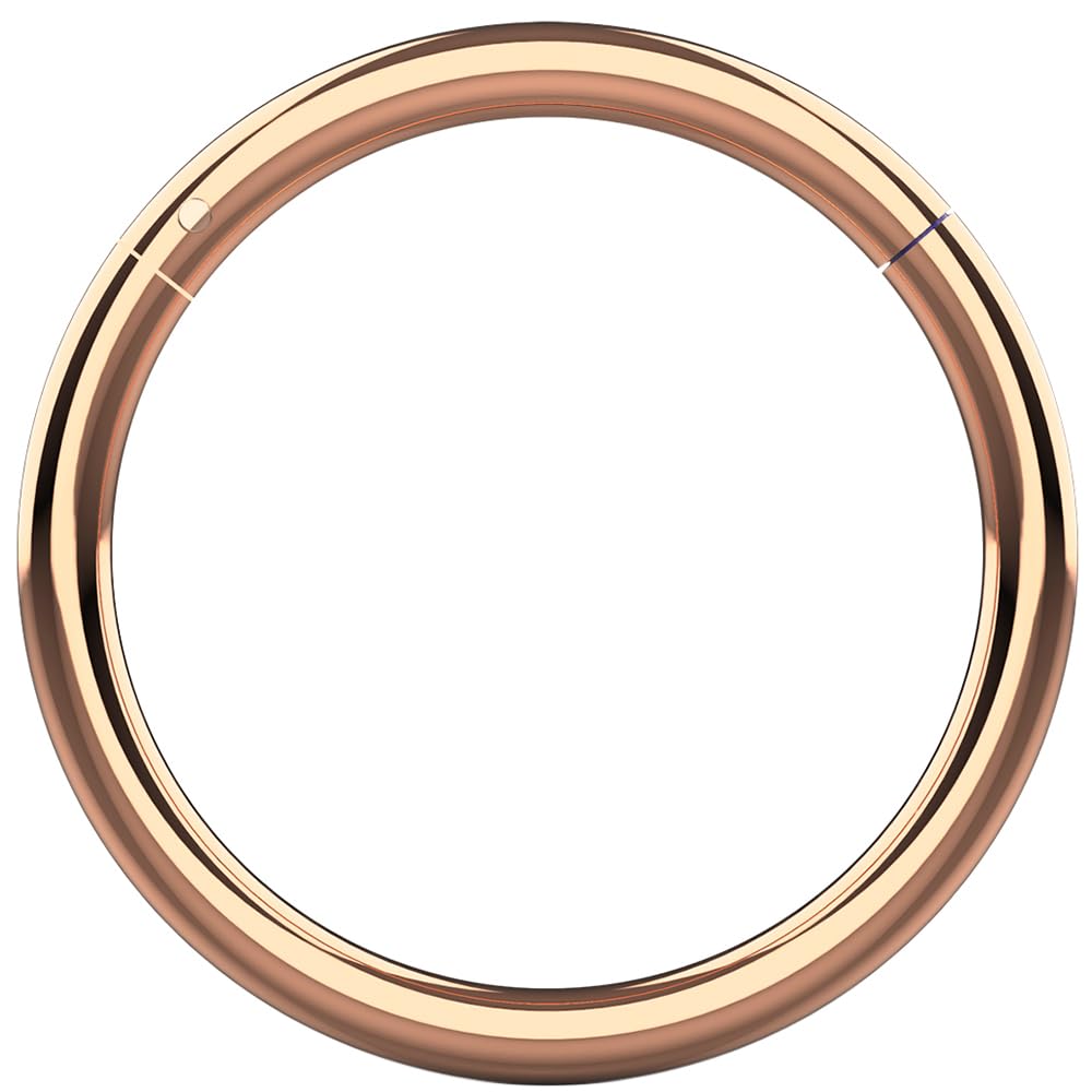 AZARIO LONDON 20 Gauge (0.8mm) - 8mm Diameter Rose Gold Anodized 316L Surgical Steel Hinged Segment Ring- Septum Clicker- Ear Cartilage Hoop- Huggie Earring- Tiny Nose Hoop - Lip Ring Body Jewellery