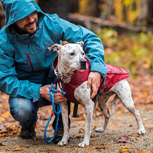 Kurgo Heavy Duty Rain Coat for Dogs Waterproof Dog Raincoat Durable