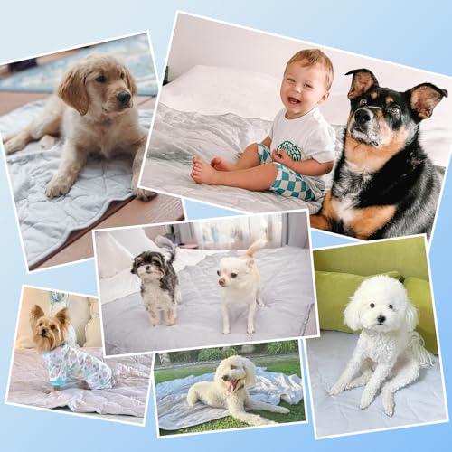 Rywell Dog Cooling Blanket 101x153cm,Waterproof Dog Cooling Mat Q-Max>0.5, Cooling&Cotton Surfaces for All Seasons,Washable Dog Blanket,Grey