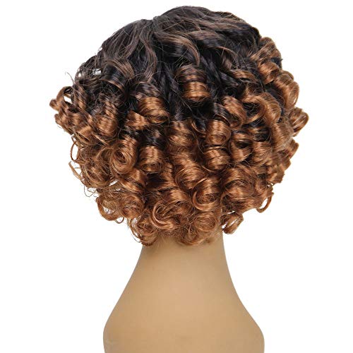 Onefa Health & Beauty Hair Wig Women Fashion Lady Gradient Short Curls Hair Cosplay Party Wig (Brown)