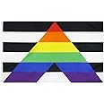 Flaglink Gay Straight Ally Flag 3x5Fts - Gay Straight Alliance Rainbow Flags
