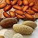 0.5 LBs Bitter Kola Nuts 100% Natural Garcinia Kola Non GMO Herbal Organic African Cola Nut bitter kolanuts (0.5 LBs)