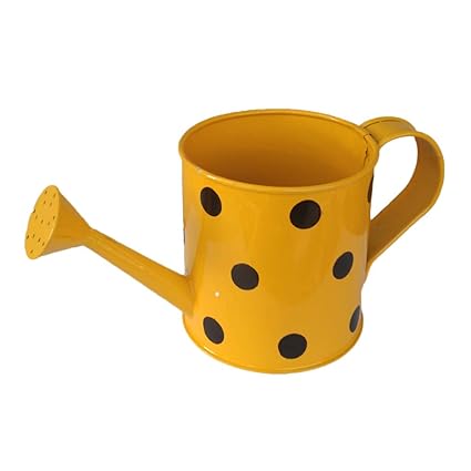 Kraftsplanet Indoor Tables or Shelves Decor Metal Water Can Shape Decorative Planter or Bonsai Pot. or Decorative showpiece