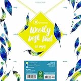 Peacock Feathers Weekly Desk Pad by