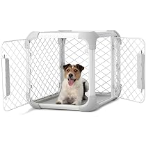 Amazon.com : DIGGS Evolv Dog Crate - Slim, Durable Dog Kennel with ...