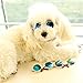 Cydnlive Cool Stylish and Funny Cute Pet Sunglasses Classic Retro Circular Metal Prince Sunglasses for Cat,Chihuahua or Small Dogs (Color May Vary)